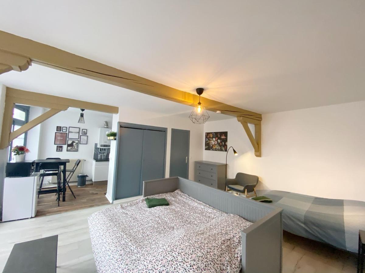 015 Chic & Cosy Studio 41M2 Hypercentre Wifi Smart Tv Netflix Saint-Etienne  Exterior photo